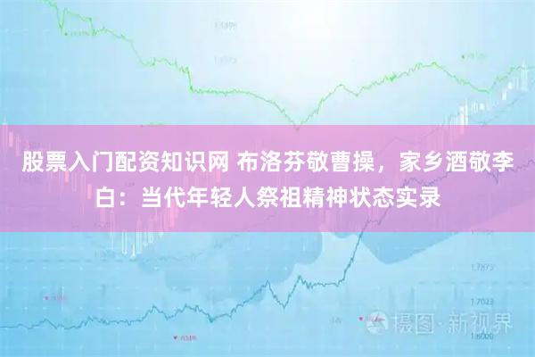 股票入门配资知识网 布洛芬敬曹操,家乡酒敬李白:当代年轻人祭祖精神状态实录